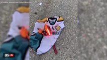 WATCH: Former LA Galaxy turned LAFC fan burns vintage jersey