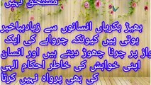 18 aqwal e zareen❤️| aqwal e zareen in urdu hazrat ali | hazrat ali quotes in urdu