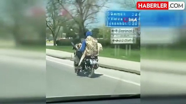 Hem köpeğin hem de kendi canlarını hiçe saydılar: Tehlikeli yolculuk kamerada