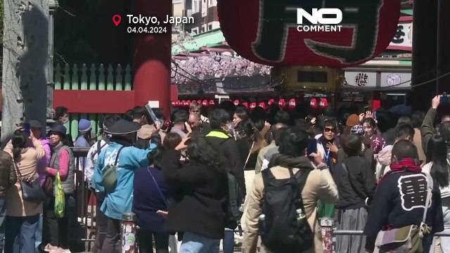 Le spectacle des cerisiers fleuris a débuté au Japon