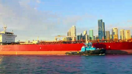 Prime Promo NCIS Sydney (Primavera 2024)