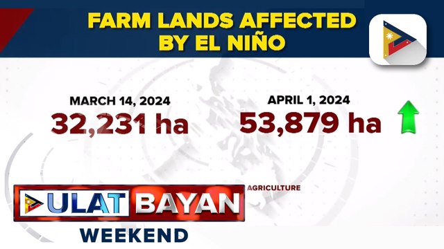 Produksyon ng palay, tumaas nitong Q1 sa kabila ng epekto ng #ElNiñoPH