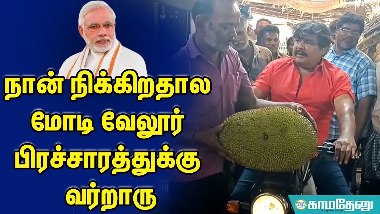 நான் நிக்கிறதால மோடி வேலூர் பிரச்சாரத்துக்கு வர்றாரு -  மன்சூர் மடேர்!