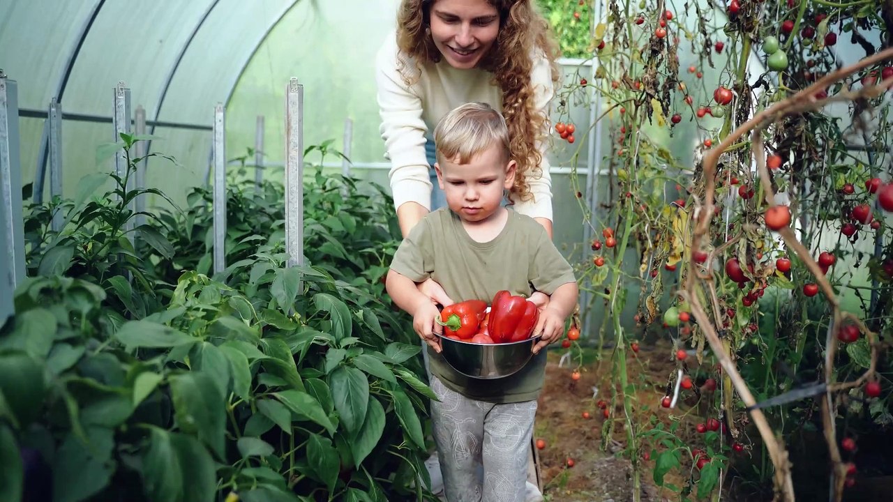 Vegetable video