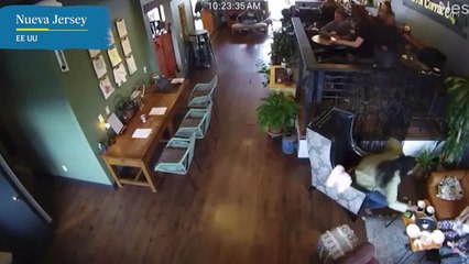 El terremoto de magnitud 4,8 se sacude Nueva Jersey y Nueva York