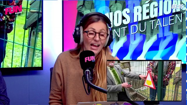 Nos régions ont du talent - Ivre, il conduisait déguisé en policier près de Vendôme