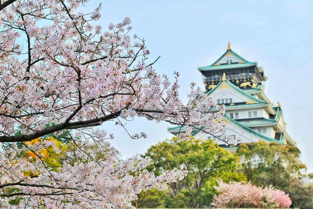 Le Tour du Japon #01, ses paysages  (Exclusivité Dailymotion)