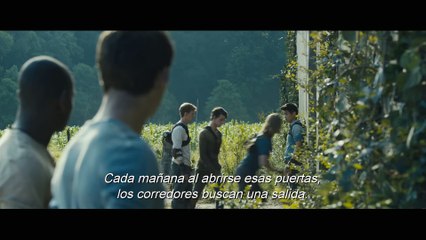 ¡Descubre el emocionante tráiler de 'El corredor del laberinto'! 🌀