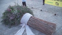 Greenpeace y No a la Tala regalan a Almeida un ramo de boda realizado con ramas de talas de Madrid