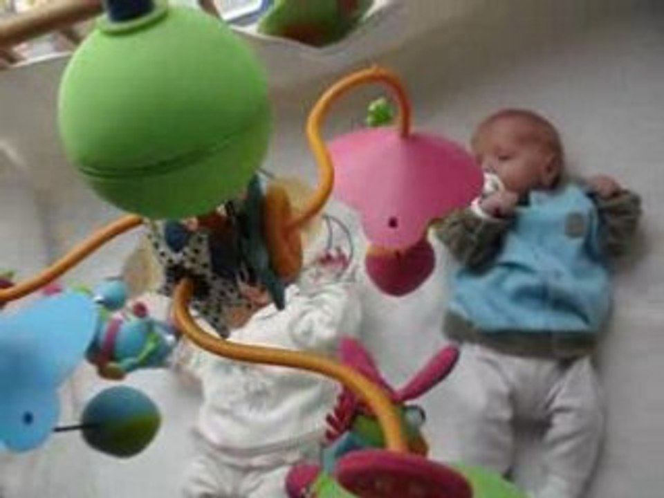 7 avril dans le parc