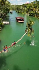 Having the best day of their lives along the loboc river   | AeronFly | Make Your Safar Suhana With AeronFly