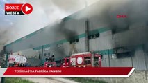 Tekirdağ'da fabrika yangını