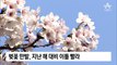 [날씨]벚꽃 만발 이틀 빨랐다…주말 맑고 따뜻