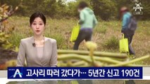 고사리 따러 갔다가 숨진 채 발견…5년간 신고 190건