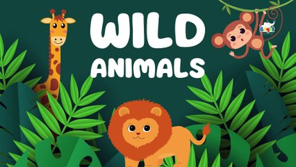 Learning Wild Animals | Educational Cartoon for Kid | Kids English Vocabulary | Bright Spark Station