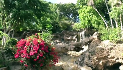 Loro Parque -  Tenerife - Teneriffa