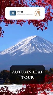 Japan Holiday Packages Plan Your Dream Getaway Today!