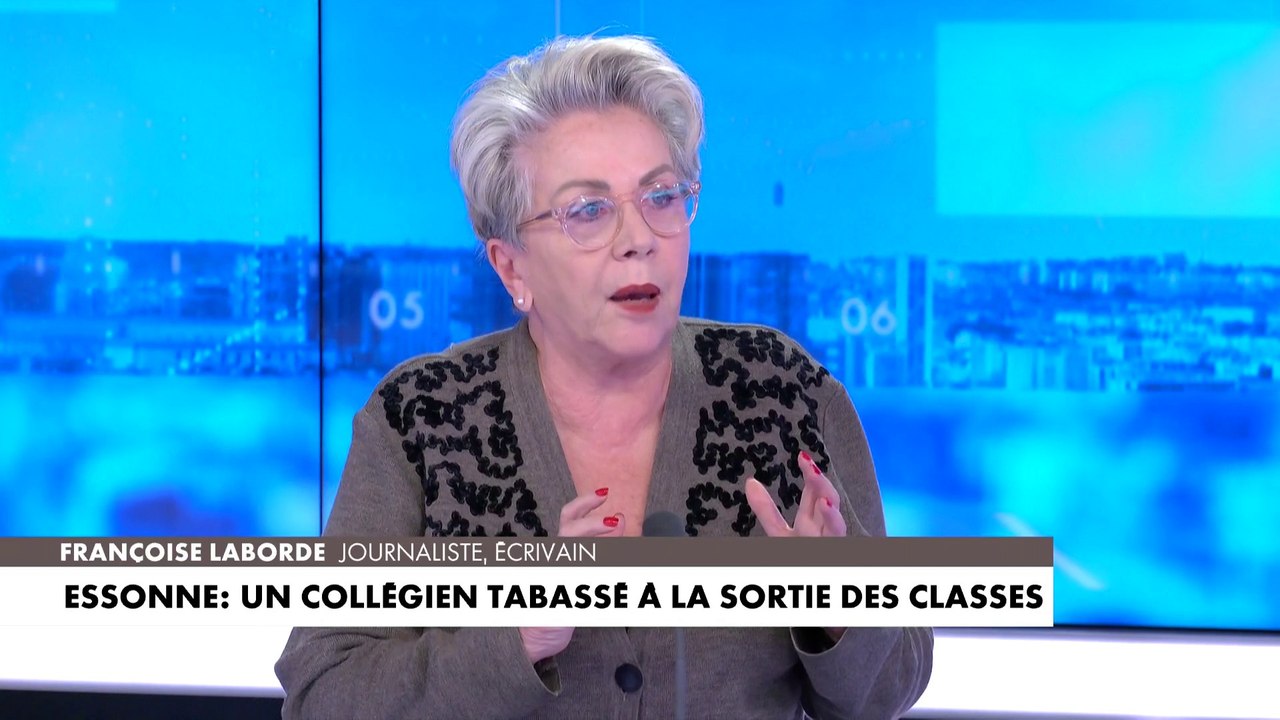 Françoise Laborde : «Quand on n'a pas les outil...