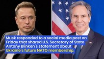 Elon Musk Expresses Concern Over Ukraine's Potential NATO Membership: 'This Is Literally How The Nuclear Apocalypse Movie Starts'