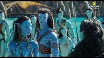 Avatar : la voie de l'eau Emission d'actu ou bonus (10) VF