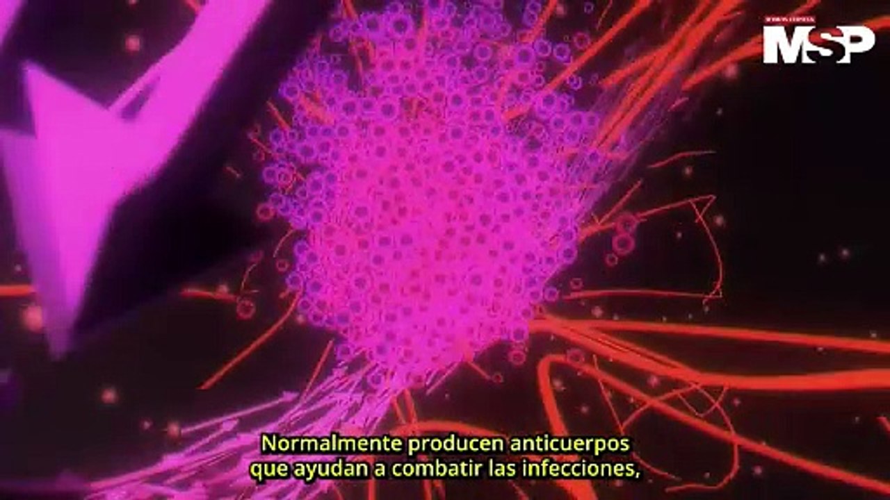 ¿Cuáles son los 4 tipos de trasplantes para tratar el mieloma múltiple? - #MSP