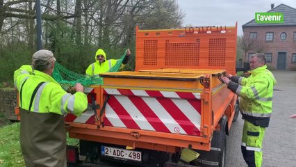 Le sauvetage insolite de dizaines de carassins au Petit Baulers