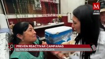 Campañas electorales podrían reactivarse este fin de semana en Celaya, Guanajuato