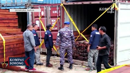TNI AL Gagalkan Penyelundupan Dua Ratus Kubik Kayu Merbau di Jayapura