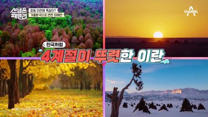 [#선넘은패밀리] 이란에 눈이 온다고? 겨울왕국 그 자체인 테헤란의 풍경♥