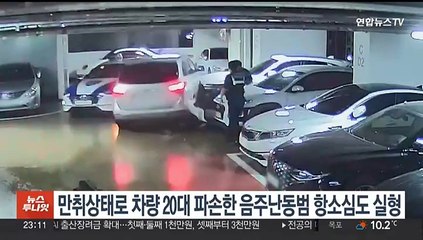 만취상태로 차량 20대 파손한 음주난동범 항소심도 징역 2년