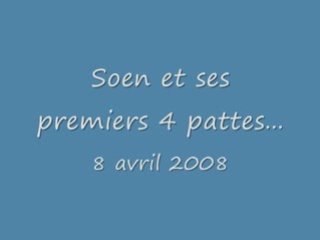 Soen à 4 pattes