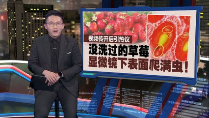 吃草莓前一定要洗干净！显微镜下惊现虫子🚨