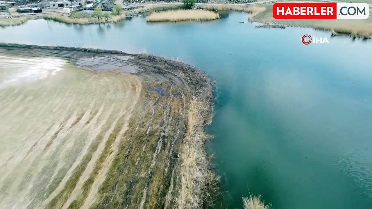 Ağrı Dağı Milli Parkı'nda canlıların yaşam alanı yok ediliyor