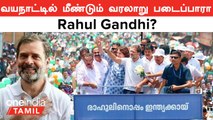Election 2024 | Rahul Gandhi-க்கு இருக்கும் Challenges! Congress-க்கு Wayanad Safe Constituency-ஆ?
