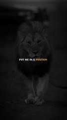 Shaheen Afridi uploads story on Instagram