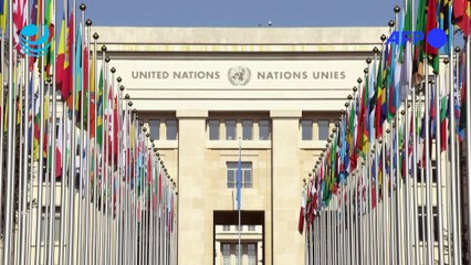 El Consejo de DDHH de la ONU pide detener la venta de armas a Israel
