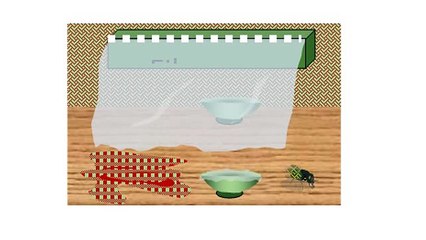 Poésie et écologie 6