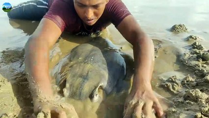 Amazing Hand Fishing Video Big Monster Fish Catching Form Underground Sea. Best 2024 Video #fishing