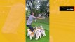 Hulvaton video: mies hyppää narua koiriensa kanssa