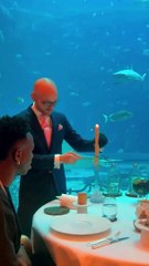 Vini y Camavinga alucinan con una 'vela' que se come