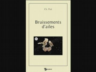 Bruissements d'ailes_0002