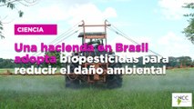 Una hacienda en Brasil adopta biopesticidas para reducir el daño ambiental