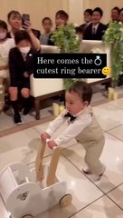Here comes the  cutest ring bearer ❤️