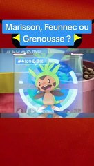 Découvrez le Meilleur Starter de la 6G Pokémon! 🔥