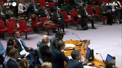 Terremoto negli Usa, la scossa "vissuta" al Consiglio di sicurezza dell'Onu