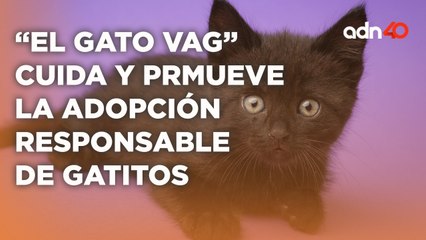 Conoce "El Gato Vago" uno de los albergue más grandes en la Ciudad de México