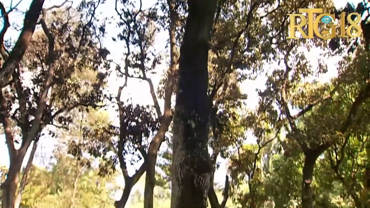 Yon gwo dife eklate nan lannwit Jedi 4 Avril la nan Vale Boudon ki lakòz plizyè ti kay boule.