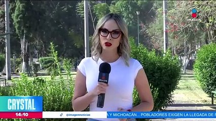 Yanine denuncia el asesinato de sus perritos en una pensión