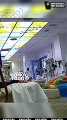 UNA LUZ DE ESPERANZA PARA ENFERMOS RENALES TRAS EXITOSO TRASPLANTE DE UN RIÑÓN DE CERDO EN UN HUMANO