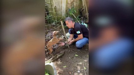 Dono de pet shop em Curitiba é preso por maus-tratos